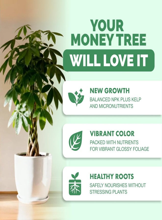 TPS NUTRIENTS Money Tree Fertilizer for Money Trees and All Pachira Plants, Liquid Plant Food 8 oz (250mL) - Image 2